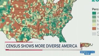 Census shows US is diversifying, white population shrinking