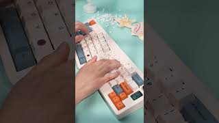 Cidoo ABM066 #soundtest #keyboard #mechkeys #mechanicalkeyboard #asmr #typing #customkeyboard