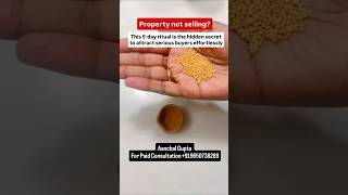 stuck property not selling?This powerful 5 day mustard seed diya ritual....