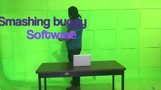 Software Assassin: Smashing Buggy Software