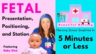 ✅ Fetal Positions, Presentation, & Station ✅ Explained in 5 Minutes or Less