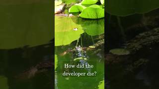 Do Developers die, or just fade away? | @TheBoomerJokester | IT08