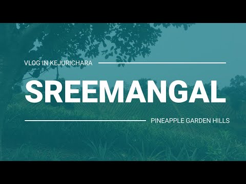 Pineapple garden hills | SREEMANGAL