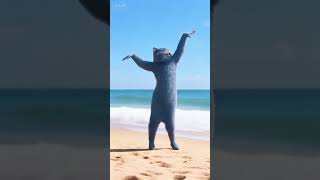 Cat dancing  #aigc #搞笑 #aivideo #cat #funny
