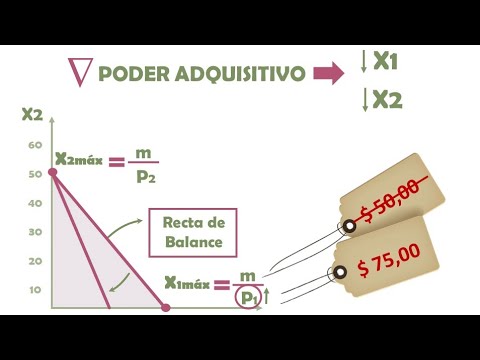 TEORÍA del CONSUMIDOR. VARIACIONES en la RESTRICCIÓN PRESUPUESTARIA
