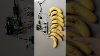Arduino Fruit Music #aiprogramming  #internetofthings #arduino #pilaniatech #diy