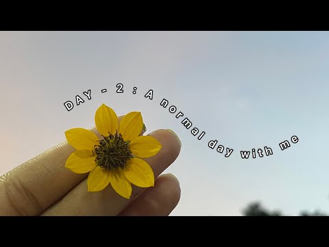 DAY-2 | Just a Normal Day | Daily Vlog | #Project90