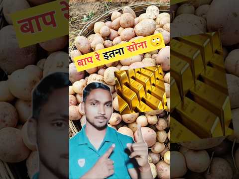 Aaj Main Apne Badi Main Sona Nikalunga 😂 #shortvideo #newvideo #viralvideo