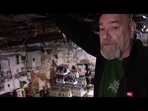 My Movie  PETER KAVANAGHS part 2