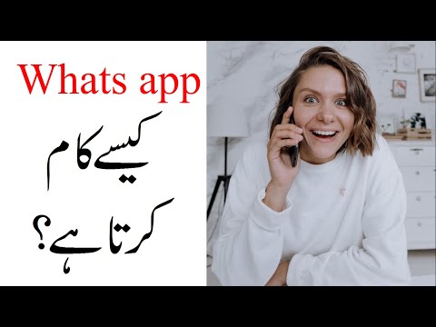 whatsapp ??