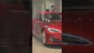 Tesla’s Turning Point: Breakout or Breakdown in 2025?