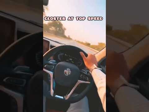 mg gloster at top speed #car #mg #gloster