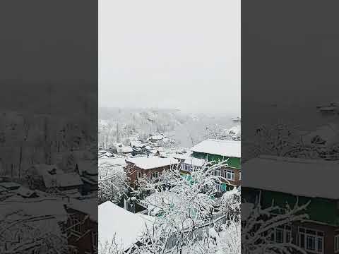 Snowfall in Kashmir ♥️♥️♥️