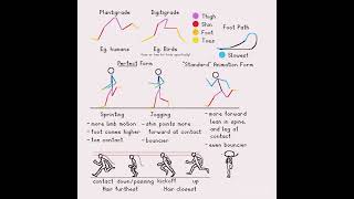 Run Cycles Animation Tutorial - Please work Youtube #animation #tutorial #animationmeme