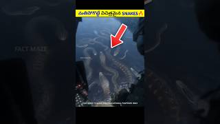 Top 2 Amazing Snakes🔥|#telugufacts #telugu #shorts #viralnews #viral