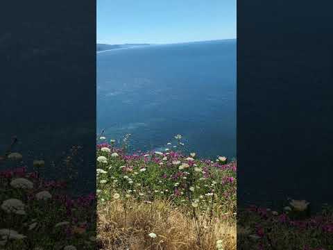 MOST BEAUTIFUL VIEW!! #travel  #short #nature #shortvideo