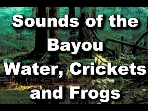 Relaxation Sounds : Blue Bayou - Crickets, Frogs and Bugs