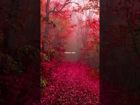 #Beauty of nature