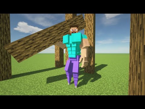 Steve flex