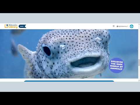 Britannica Library  Homepage Features