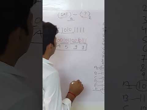 Number System