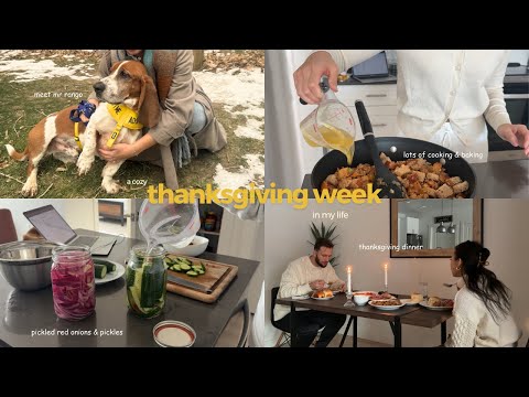 a cozy thanksgiving week 🦃🥧🍂 | a full week of cooking, baking & volunteering!