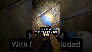 Very Poor Ventilation & Awful Mold #construction #constructionlife #roofing #homeinspection
