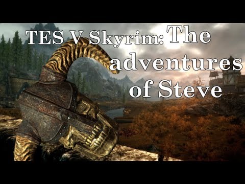 TES V Skyrim - The adventures of Steve [OLD]
