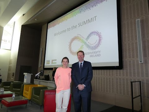 Minister for Justice, Jim O’Callaghan at the NDI Summit -  Sat 17th May 2025