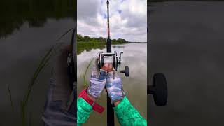 Testing casting the Penn#fishing#fish#shortsvideo#shortvideo#shorts#short#viral#viralvideo#youtube