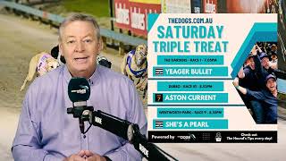 TheDogs Triple Treat - Saturday 14th Jan 2023