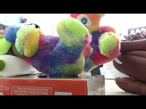 Geoffrey Adventure’s