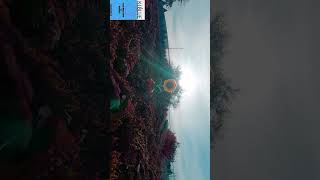 🌻🔆🪷 #lofi #lofihiphopart #sunflower #music #chillworkmusic #workchillout #lofihiphop #lofiwork