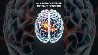 Your Brain on Exercise: Instant Benefits