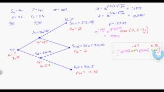FI 8000 Binomial Option Pricing Model    Puts