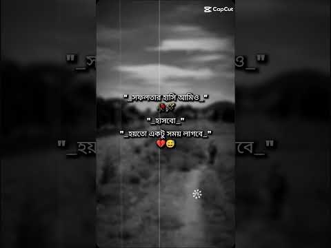 সফলতার হাসি