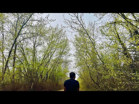 Remedies:  Stress & Anxiety | Picnic | Nature | Walk | Baking