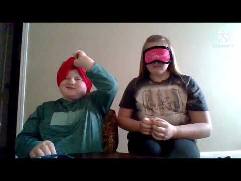 Chicken Nugget Challenge!!!