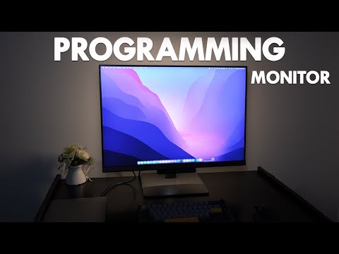 My HONEST review BENQ Programming Monitor RD280U