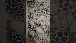 beautiful #tiles #short#video #veril #video