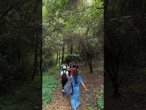#travel #peace #nature #nepal #bhundole #greenary