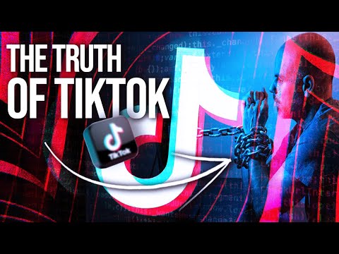The Truth About the new tiktok algorithm 2022 (TikTok Algorithm Explained)