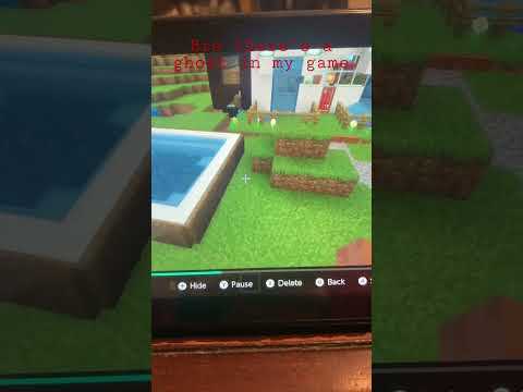 My Minecraft server is haunted