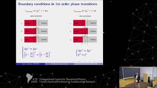 José Carlos Jiménez: Strange dwarfs and the question of their dynamical stability