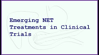 Emerging and Future Treatments for Neuroendocrine Tumours