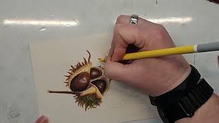Texture Thursdays - Texture Study 20 Chestnuts in Soft Pastels