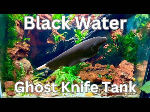 Making My Black Water Ghost Knife Tank