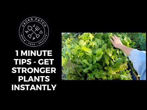 1 Minute Tips - Get Stronger Plants Instantly!