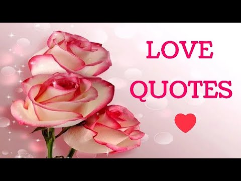 Love Quotes #lovequotes #quotes #shorts