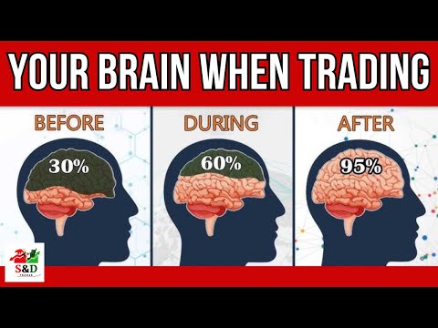 This is What Happens to your Brain; BEFORE trading, DURING trading and AFTER trading